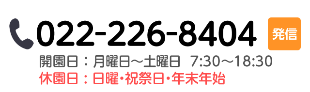 022-226-8404