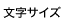 文字サイズの変更